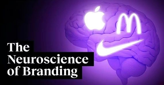 Branding & Marketing